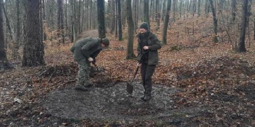 Leśnicy z Lidzbarka uwidocznili tajemnicze kręgi, znajdujące się w tamtejszym lesie.