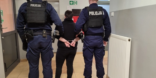 Kobieta nie wywiązywała się z obowiązku alimentacyjnego i w związku z tym sąd skazał ją na 2 miesiące pozbawienia wolności.