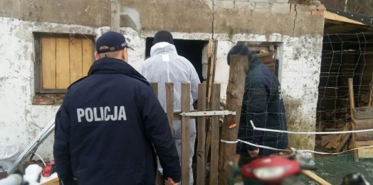 Policjanci i pracownicy Inspekcji Weterynaryjnej wykryli nielegalną hodowlę niedaleko Mrągowa.