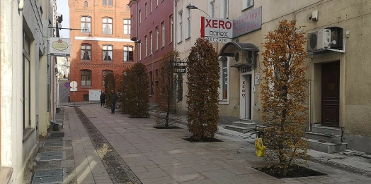 Drzewa pojawiły się na części ulicy Skłodowskiej-Curie w Olsztynie.