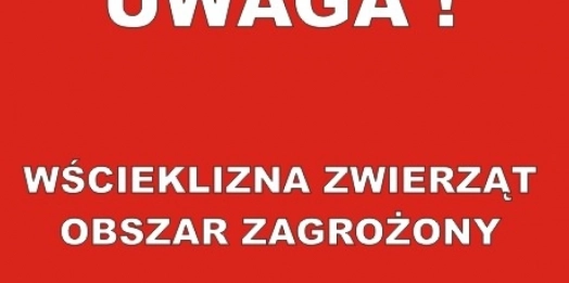 W powiecie ostródzkim znaleziono nietoperza zakażone wścieklizną.