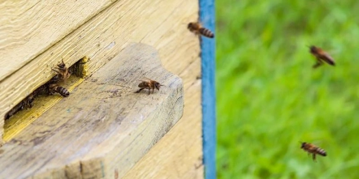Są pieniądze na różnorodne działania.