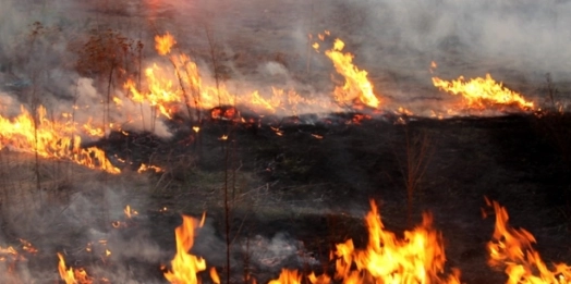 Nieuwaga i bezmyślność omal nie doprowadziła do tragedii. Mężczyzna, który opalał izolację z miedzianych przewodów zaprószył ogień na łące.