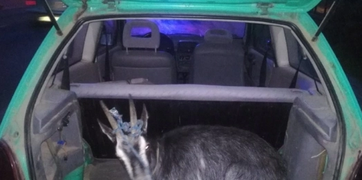 Policjanci z Ostródy zatrzymali 18-letniego pijanego kierowcę.
