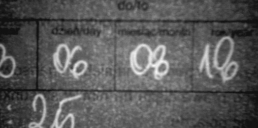 Obywatel Rosji chciał wjechać do Polski posługując się sfałszowaną polisą OC.
