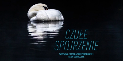 To inauguracja cyklu wydarzeń fotograficznych na terenie stanicy wodnej PTTK w Krutyni.