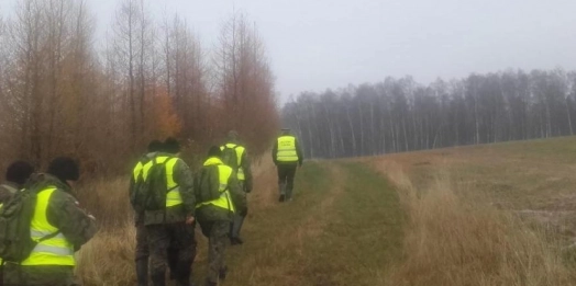 Na terenie nadleśnictw Bartoszyce i Górowo Iławeckie trwa akcja poszukiwania martwych dzików.