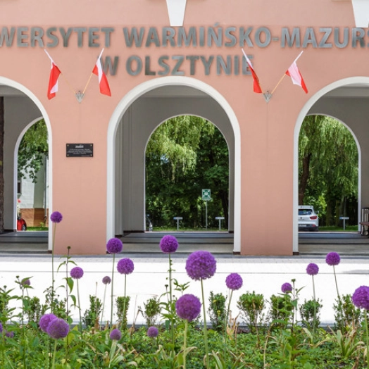 Uniwersytet Warmińsko-Mazurski przekazał wstępne dane o liczbie tegorocznych kandydatów na studia.