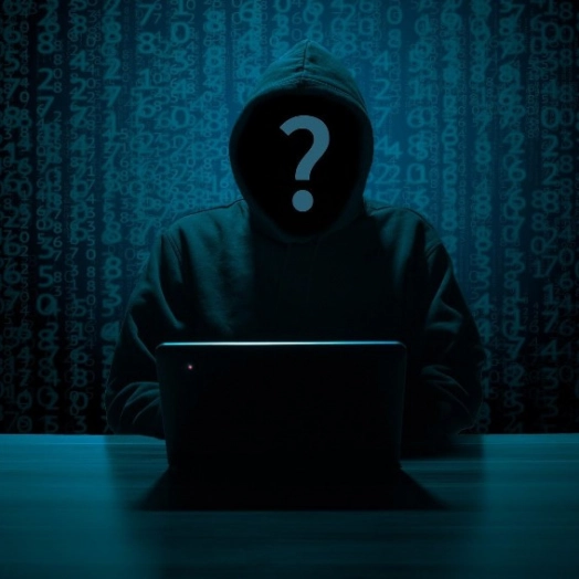 Olsztyńscy policjanci zatrzymali mężczyznę, który oszukiwał w internetowym sklepie.