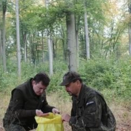Leśnicy z Warmii i Mazur szykują się do zbiorów nasion buków i dębów.