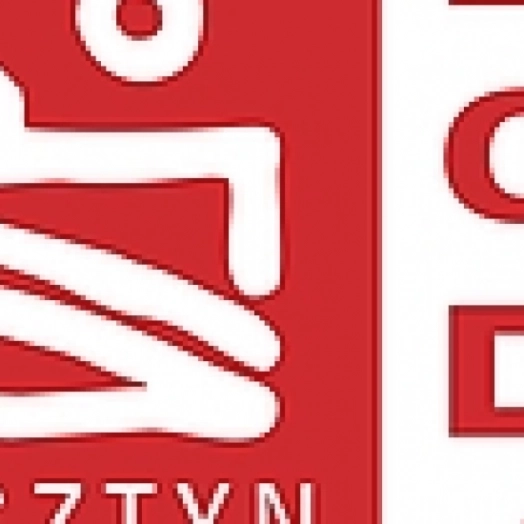 Olsztyński ratusz podał wyniki głosowania w tegorocznej edycji Olsztyńskiego Budżetu Obywatelskiego.